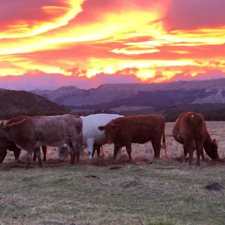 Mohaka River Farm Te Haroto Luaran gambar
