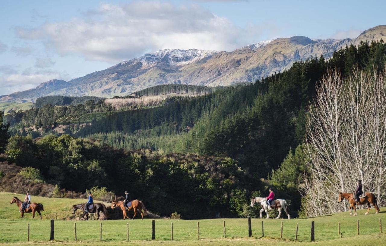 Mohaka River Farm Te Haroto Luaran gambar