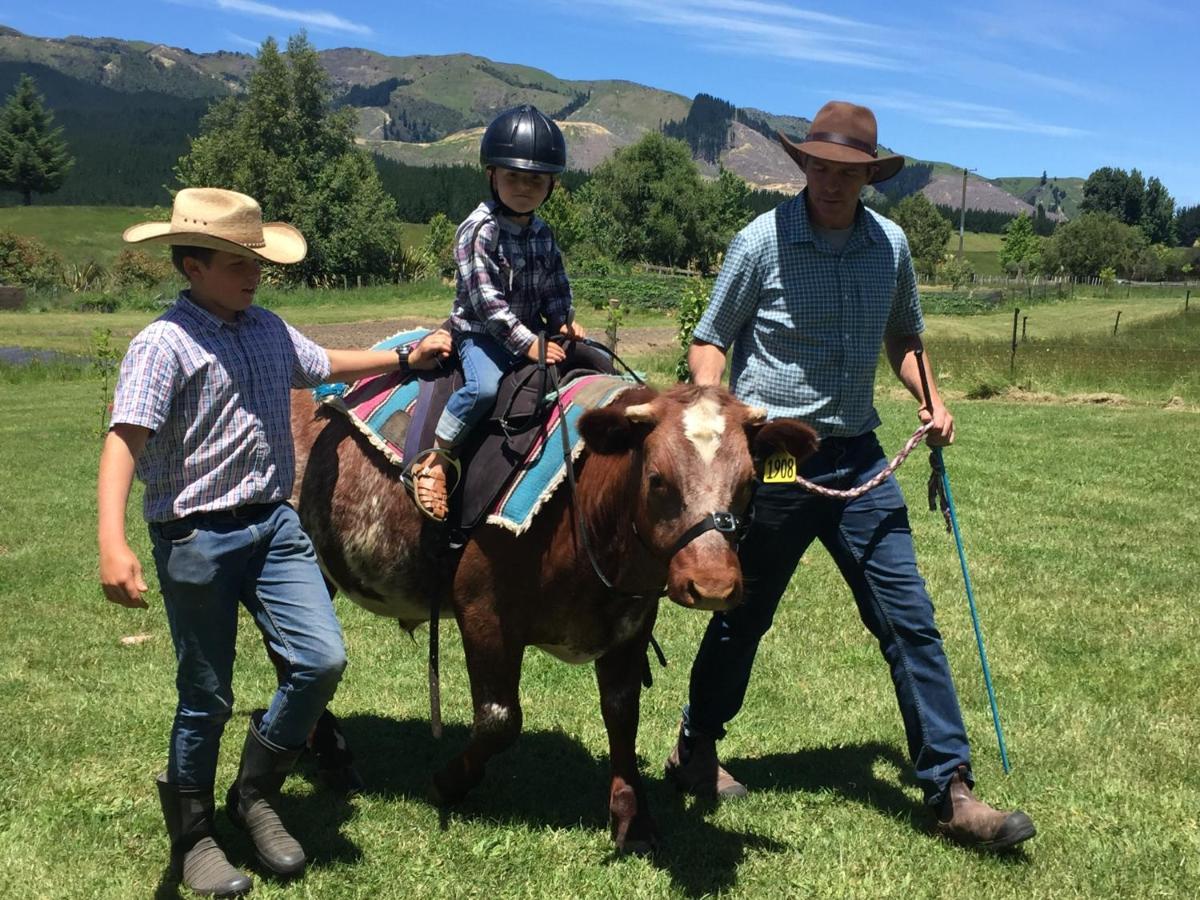 Mohaka River Farm Te Haroto Luaran gambar