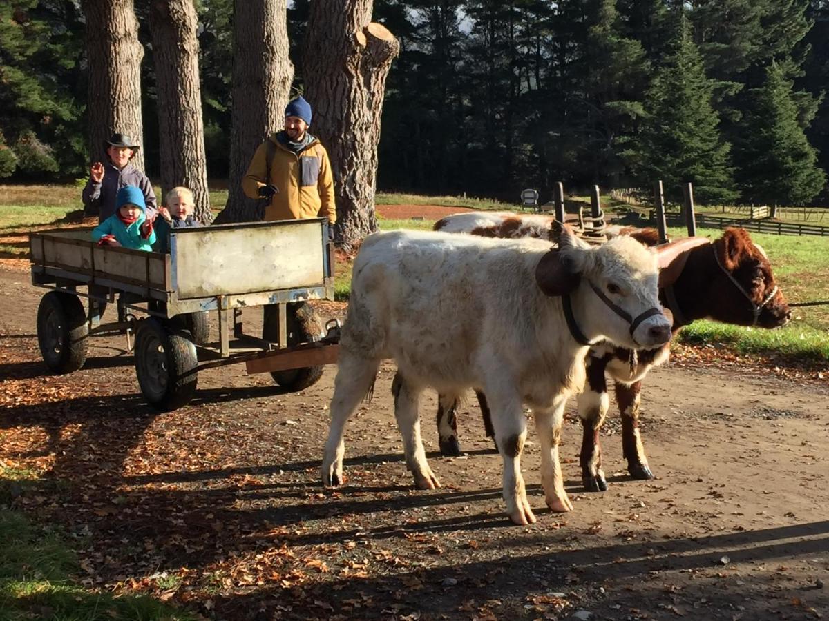 Mohaka River Farm Te Haroto Luaran gambar