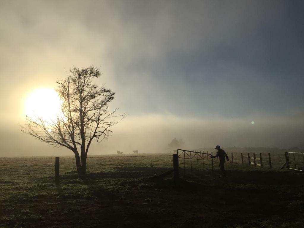 Mohaka River Farm Te Haroto Luaran gambar