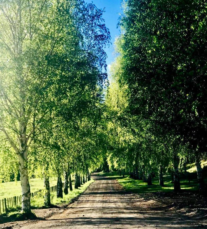 Mohaka River Farm Te Haroto Luaran gambar